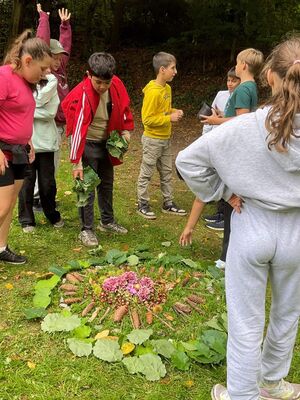Letzte Gegenstände aus dem Wald werden in ein Natur-Mandala ergänzt.