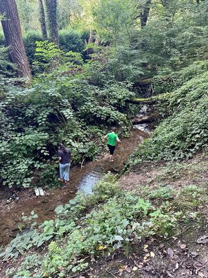 Zwei Kinder gehen barfuß durch ein Bachbett in einem Wald.