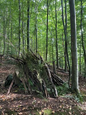 Ein Tipi ist aus Ästen und Farnen fertiggestellt.
