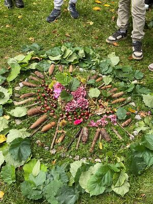 In der Waldwoche haben Kinder aus Naturgegenständen, wie Blätter, Tannenzapfen und Nüssen, eine geometrische Form auf eine Wiese aufgebaut.