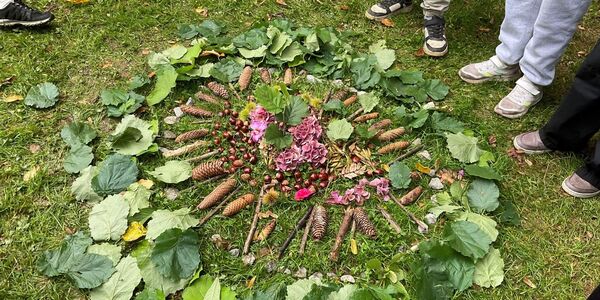In der Waldwoche haben Kinder aus Naturgegenständen, wie Blätter, Tannenzapfen und Nüssen, eine geometrische Form auf eine Wiese aufgebaut.