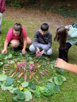 Kinder begutachten ihr Natur-Mandala aus Gegenständen, die sie im Wald gefunden haben.