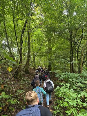 Eine Gruppe von Schülerinnen und Schülern geht einen schmalen Pfad im Wald entlang.