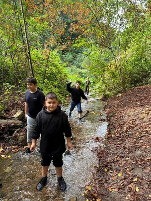 Drei Jungs laufen durch einen kleinen Bach im Wald.
