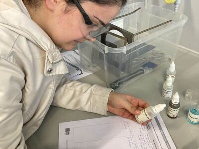 Die Chemie-Kurse der Gesamtschule Höhscheid im Schülerlabor