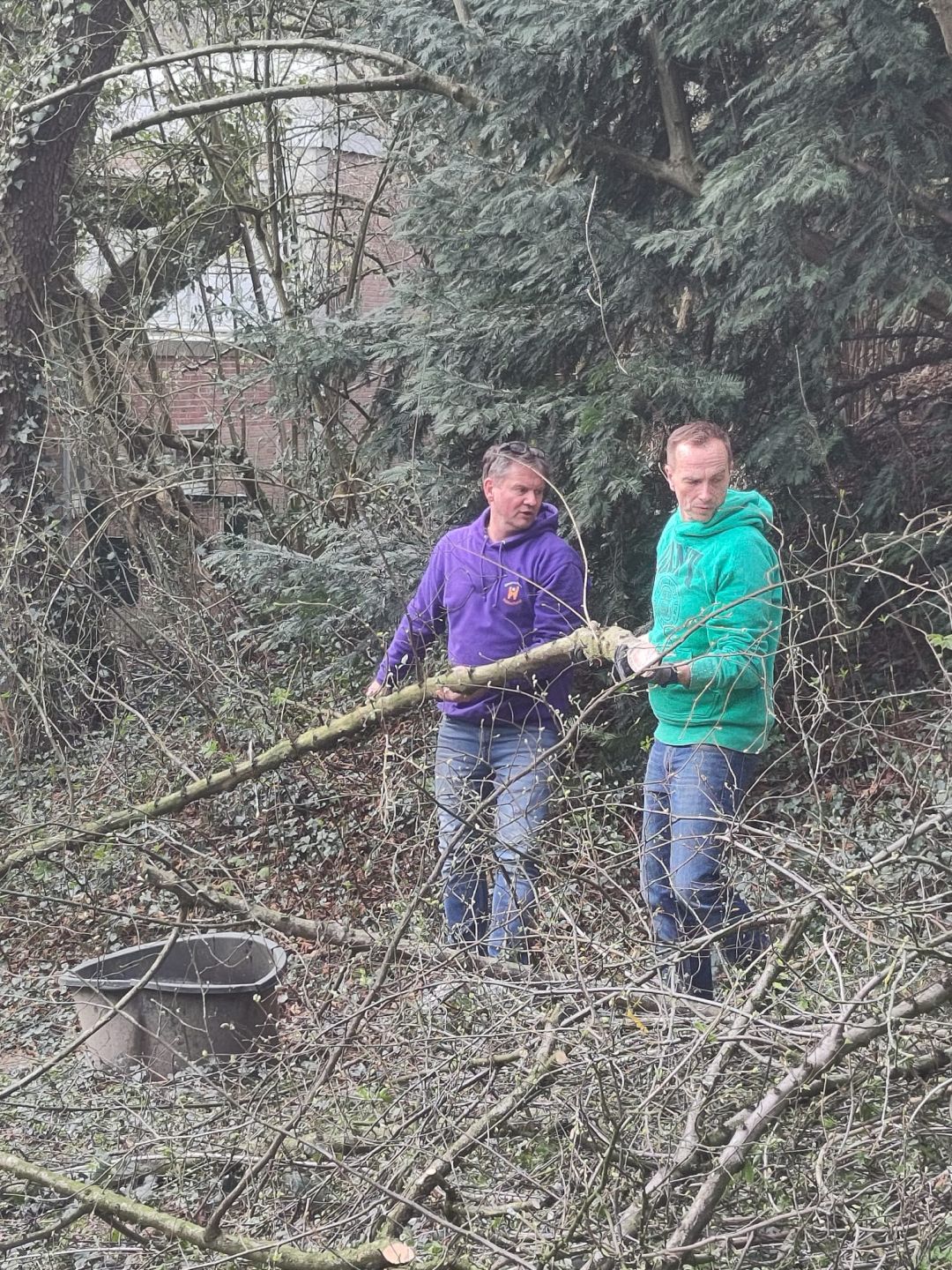 Gartenarbeit 22.03.25_3.jpeg